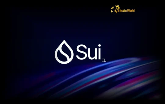 Sui Stablecoin Supply Explodes Past $1 Billion Milestone