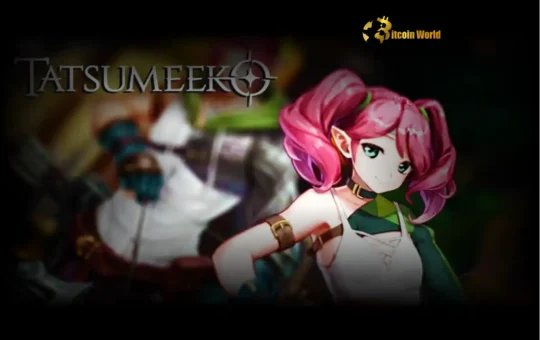 Tatsumeeko Stuns Players: Development Paused for Wander Focus