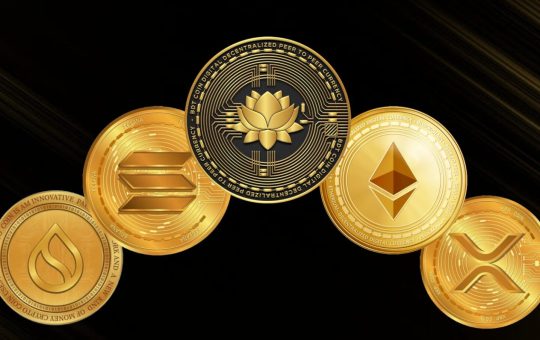Top 5 Altcoins to Watch This Bull Market – BDTCOIN Makes the List