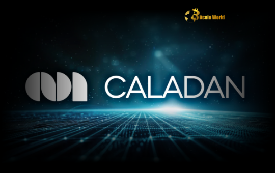 U.S. Crypto Regulation: Caladan Makes Bold Move with New York Expansion