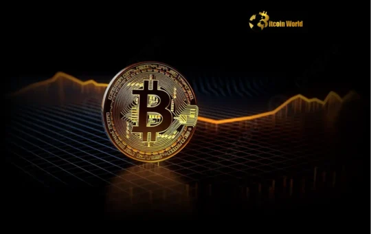 Unlocking Bitcoin’s Strong Support: Why $100,000 is a Crucial Price Level