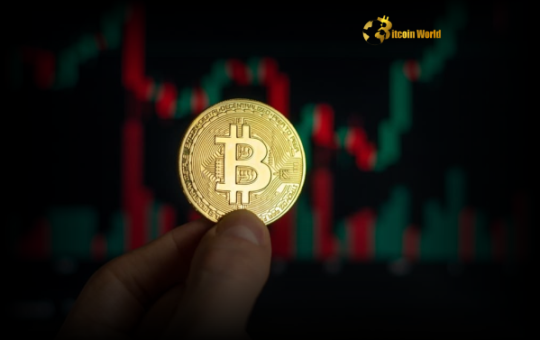 Urgent Bitcoin Market Outlook: 5 Key Factors Shaping Price This Week