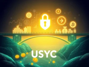 Binance USYC integration diagram showing institutional collateral flow and tokenized assets growth.
