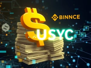 Binance USYC integration on BNB Chain, symbolizing the secure bridge between real-world assets and decentralized finance.