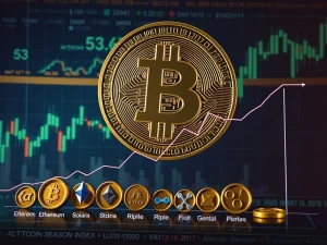 Chart showing Bitcoin Dominance rising as the Altcoin Season Index falls, illustrating a significant shift in crypto market capital.