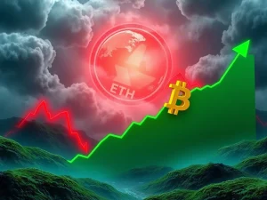 Visualizing Bitcoin's resilient stability amidst altcoin liquidations, depicting the ongoing crypto market rotation.