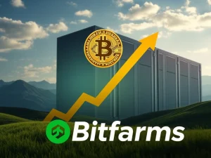 Bitfarms stock chart soaring, symbolizing a 26% surge following its strategic share buyback, backed by robust Bitcoin reserves.