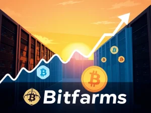 A Bitfarms stock chart showing a significant upward trend, illustrating the positive impact of the share buyback on BITF Stock.