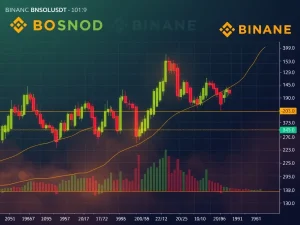 A detailed BNSOLUSDT chart displaying price action and technical indicators, illustrating recent volatility in Binance Staked SOL.
