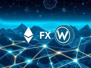 Ethereum and Wormhole partnership for cross-chain FX infrastructure