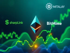 A chart showing a rising Ethereum price, representing the recent ETH surge driven by institutional investment and strong technical indicators, aiming for $4000.