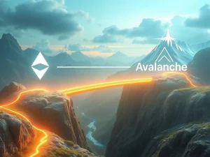 Ethereum whale transferring funds to Avalanche blockchain for DeFi opportunities