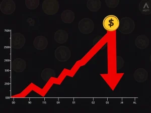 MDT price drop showing extreme cryptocurrency volatility