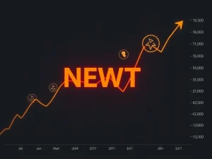 NEWT cryptocurrency price crash amid regulatory and network challenges