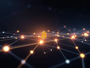 Revolutionizing Bitcoin: RGB Protocol Unlocks Tokenized Assets and USDT on Mainnet