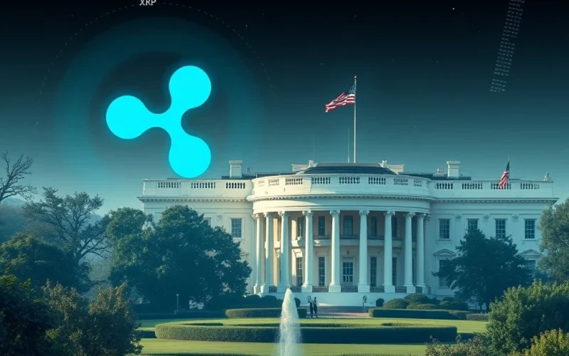 Ripple XRP highlighted in White House crypto policy report for blockchain innovation