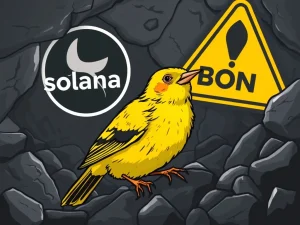 Solana meme coin BONK as a canary in the crypto coal mine