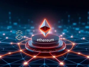 Pioneering Vitalik Buterin's Vision: Unlocking Layer-2 Blockchain Success with Minimalism