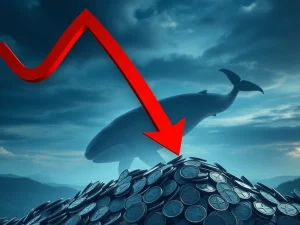 XRP price chart showing a sharp decline after large whale sales, illustrating significant crypto market impact.