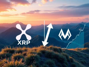 A chart depicting XRP price volatility, with a fork towards $5 and $2, alongside a surging graph representing Mutuum Finance presale success, illustrating the XRP price prediction debate.