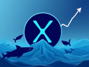 XRP price chart showing strong support, with whale icons indicating accumulation, signaling a potential XRP rally.