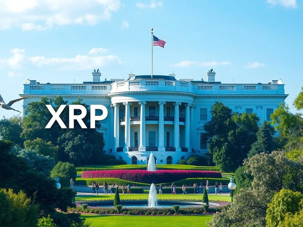 XRP and Ripple logos with U.S. White House backdrop symbolizing cross-border payment innovation