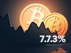 ZOOZ Power stock plunges amid Bitcoin treasury reserve announcement