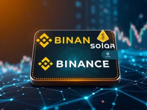 Binance Web Wallet interface connecting BSC and Solana for enhanced DeFi access and crypto trading.