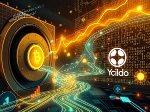 Binance USYC integration diagram showing how a yield-bearing stablecoin can be used as institutional collateral for RWA utility.