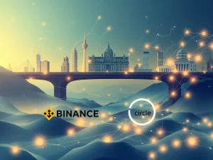 A bridge symbolizing the integration of traditional finance and blockchain, highlighting Binance's potent yield-generating collateral for institutional derivatives.
