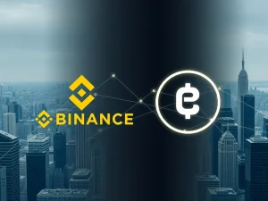 Visualizing Binance's strategic integration of USYC as institutional collateral, signifying a major leap in Real-World Assets (RWA) tokenization.
