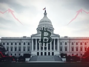 Bitcoin Surge: US Commerce Official's Bold Investments Amid Trump Tariffs
