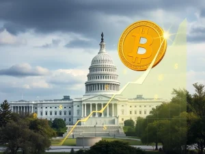 A visual representation of how a surging Bitcoin price contributes to US fiscal stability by boosting stablecoin growth and Treasury financing.