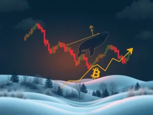 Bitcoin Futures Defy BTC Price Drop: Unpacking the Surprising Market Dynamics