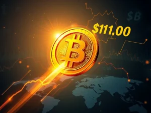 Bitcoin's Astonishing Ascent: The Path to $1 Million