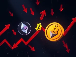 Bitcoin news today shows a crashing crypto market with major coins in decline.
