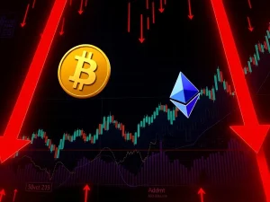 Bitcoin news today shows a crashing crypto market with major losses