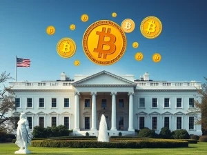 White House unveils crypto policy roadmap to strengthen U.S. leadership in digital assets