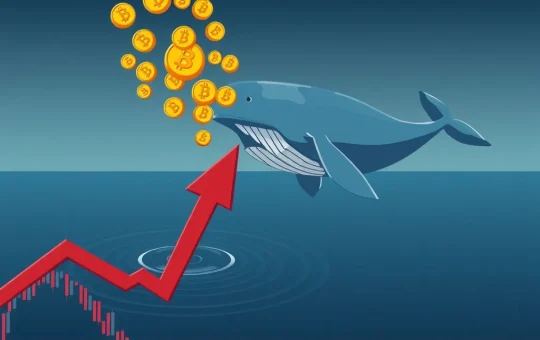 Bitcoin Price Plunge: Whales Trigger $114K Threat Amid Rising Market Volatility