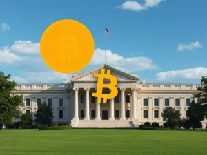 Bitcoin Reserve: US Treasury Unveils Crucial Clarification on Acquisition Plans