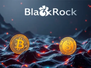 Bitcoin and stablecoins reinforcing U.S. dollar dominance with BlackRock's influence