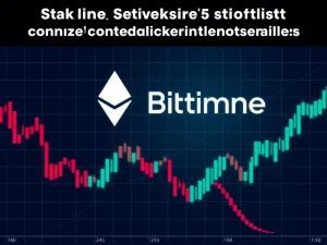 BitMine Immersion stock crash due to Ethereum staking skepticism