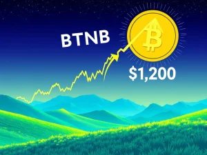 BNB price chart showing a decisive breakout above a multi-year resistance trendline, signaling a strong bullish move towards the $1,200 target.