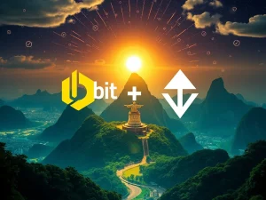 Bybit and Tether logos shaking hands over a map of Brazil, symbolizing their partnership to boost Brazil crypto adoption despite the new 17.5% tax.