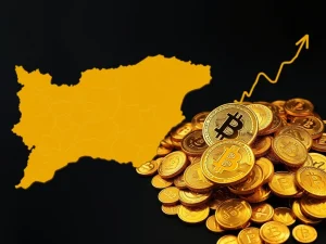 Bulgaria Bitcoin Blunder: The Colossal $25 Billion Missed Opportunity