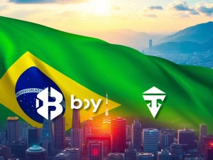 Bybit and Tether logos with a subtle Brazilian flag backdrop, symbolizing their powerful partnership to boost Brazil crypto adoption.
