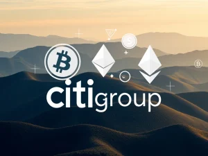 Citigroup Unlocks Crypto Custody: Billions Flow into ETFs & Stablecoins