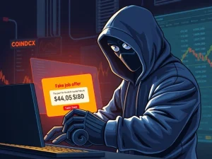 Hacker exploiting CoinDCX cybertheft through a fake job offer scam