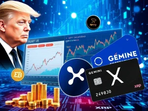 Crucial Crypto News Today: Polymarket, NFT Market Decline, and Gemini XRP Dominate Headlines