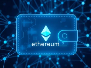 Secure Ethereum non-custodial wallet interface with blockchain security features